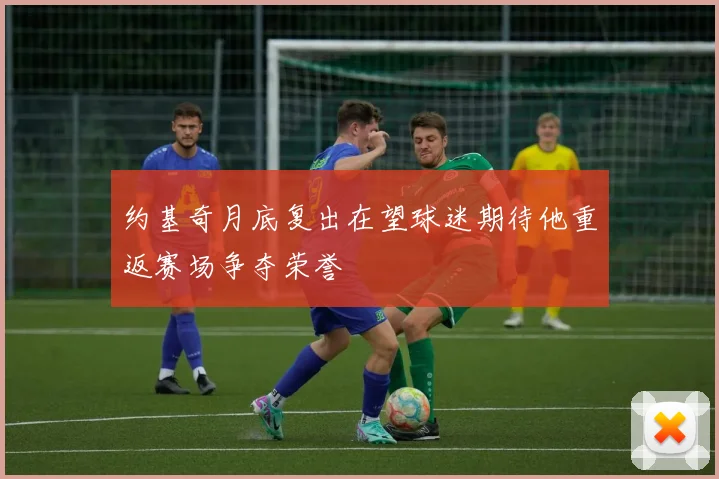 约基奇月底复出在望球迷期待他重返赛场争夺荣誉