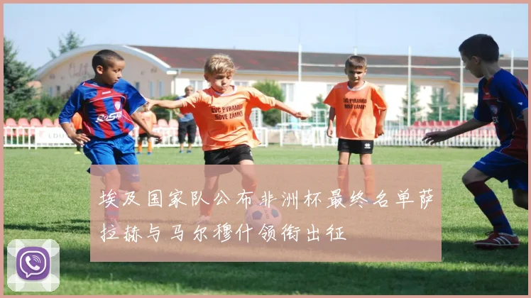 埃及国家队公布非洲杯最终名单萨拉赫与马尔穆什领衔出征