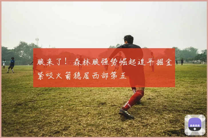 狼来了！森林狼强势崛起追平掘金紧咬火箭稳居西部第五