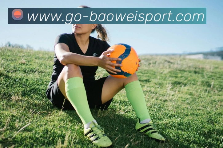 宝威体育平台生态图